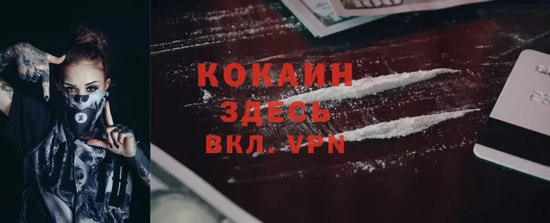 где купить наркотик  Ирбит  Cocaine FishScale 