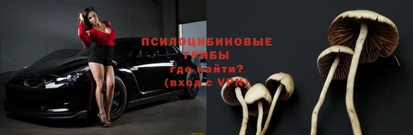 индика Нея
