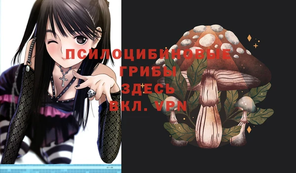 a pvp Михайловск