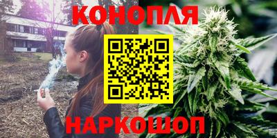 индика Берёзовский