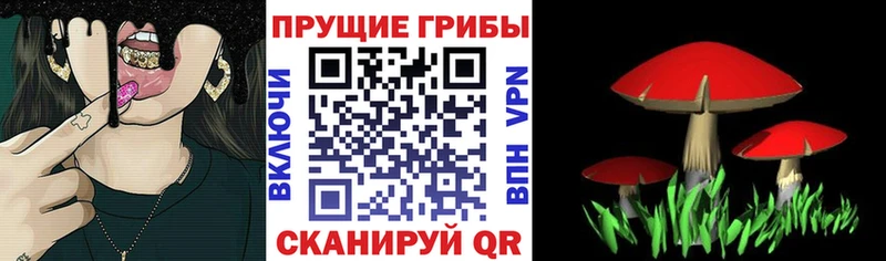 цены   Ирбит  Галлюциногенные грибы GOLDEN TEACHER 