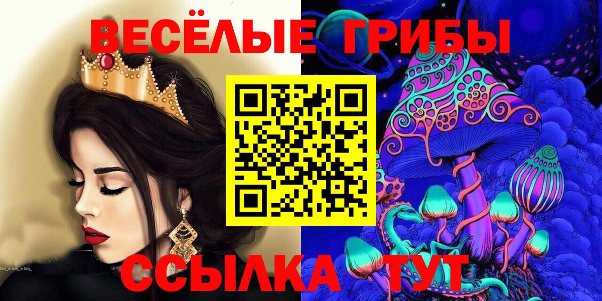 Псилоцибиновые грибы GOLDEN TEACHER Ирбит