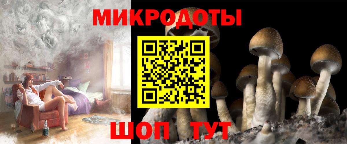 дарнет шоп  Ирбит  Псилоцибиновые грибы MAGIC MUSHROOMS 